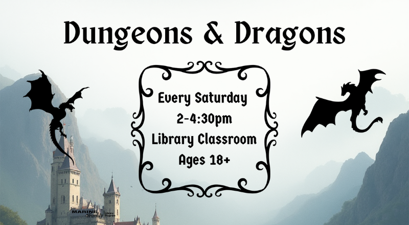 Dungeons & Dragons (For Adults)