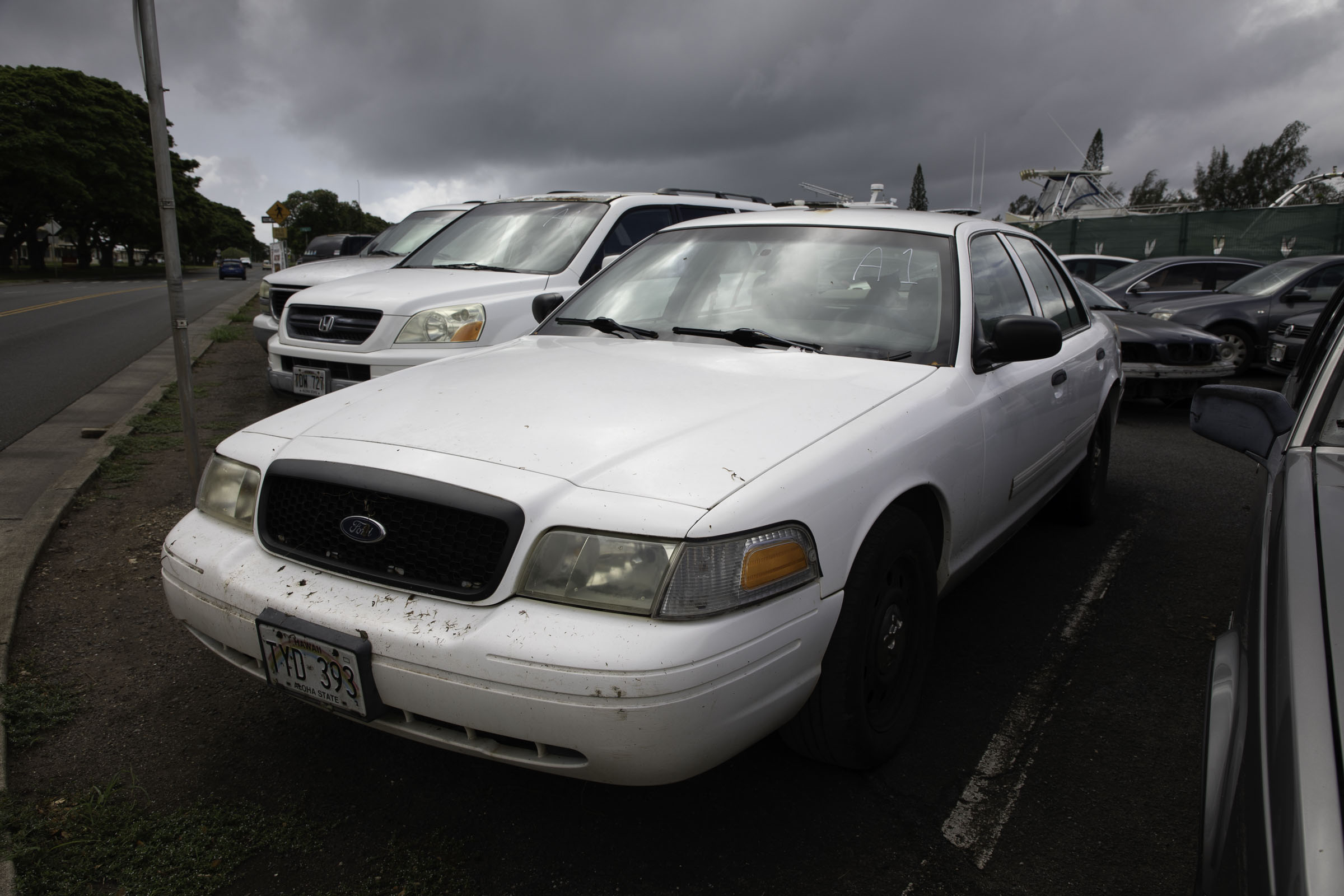 G97A8104.jpg
