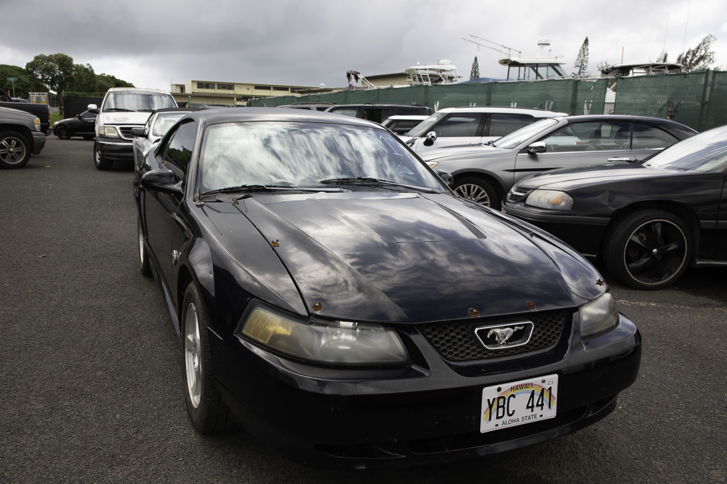 G97A8093.jpg