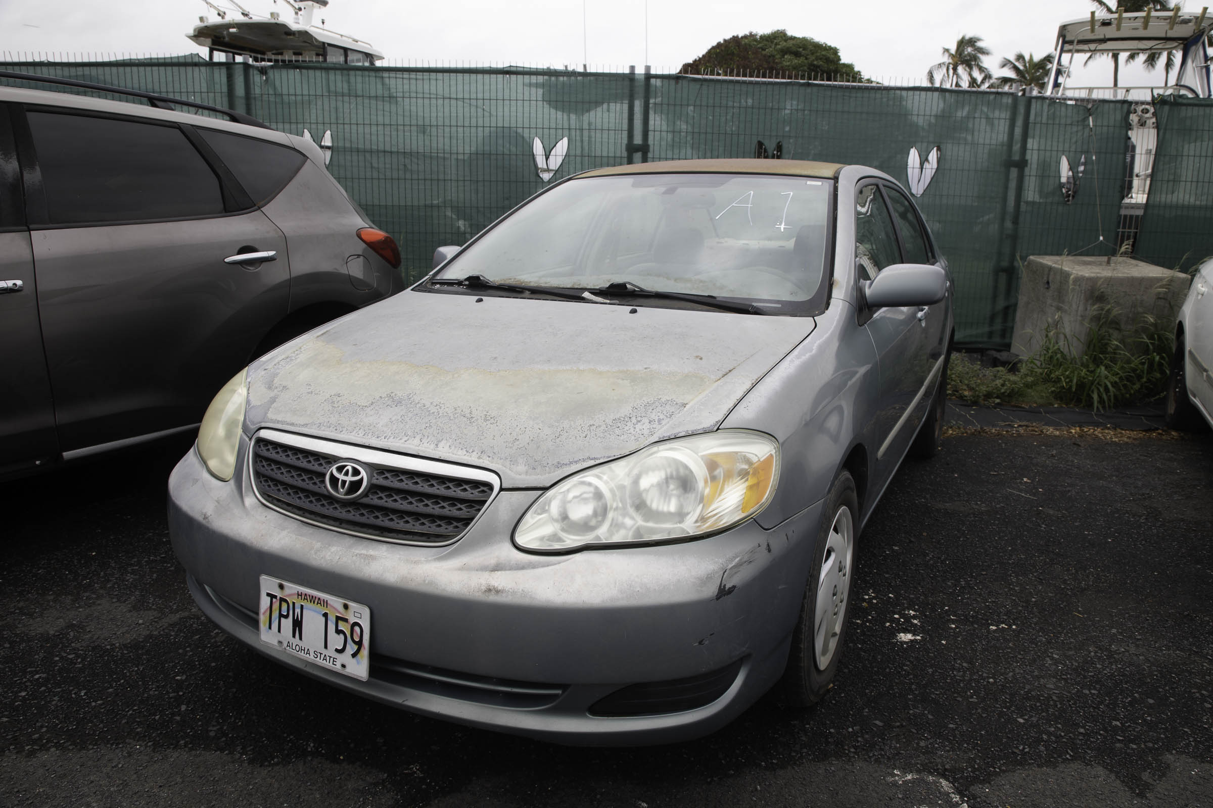 G97A2194.jpg