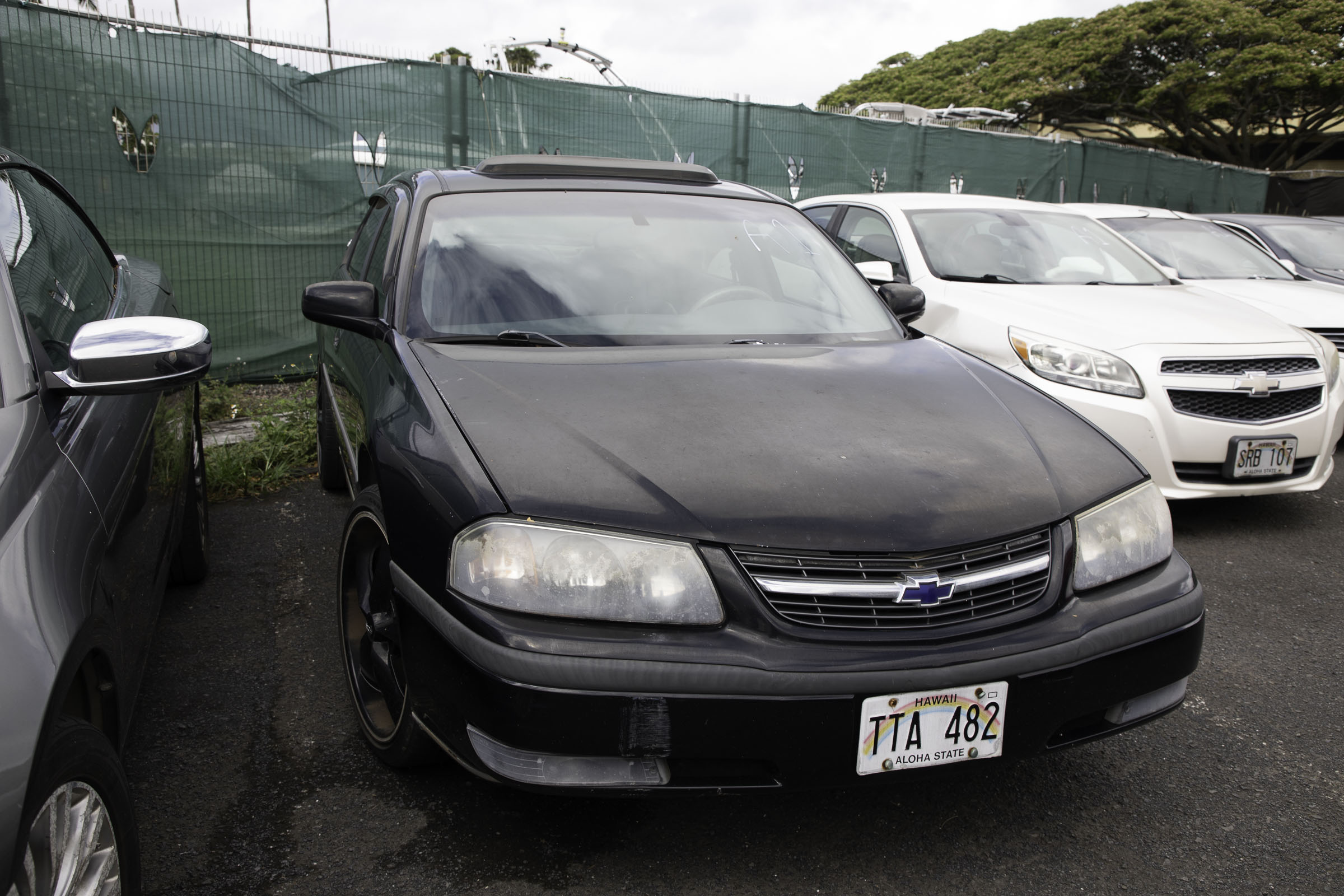 G97A8091.jpg