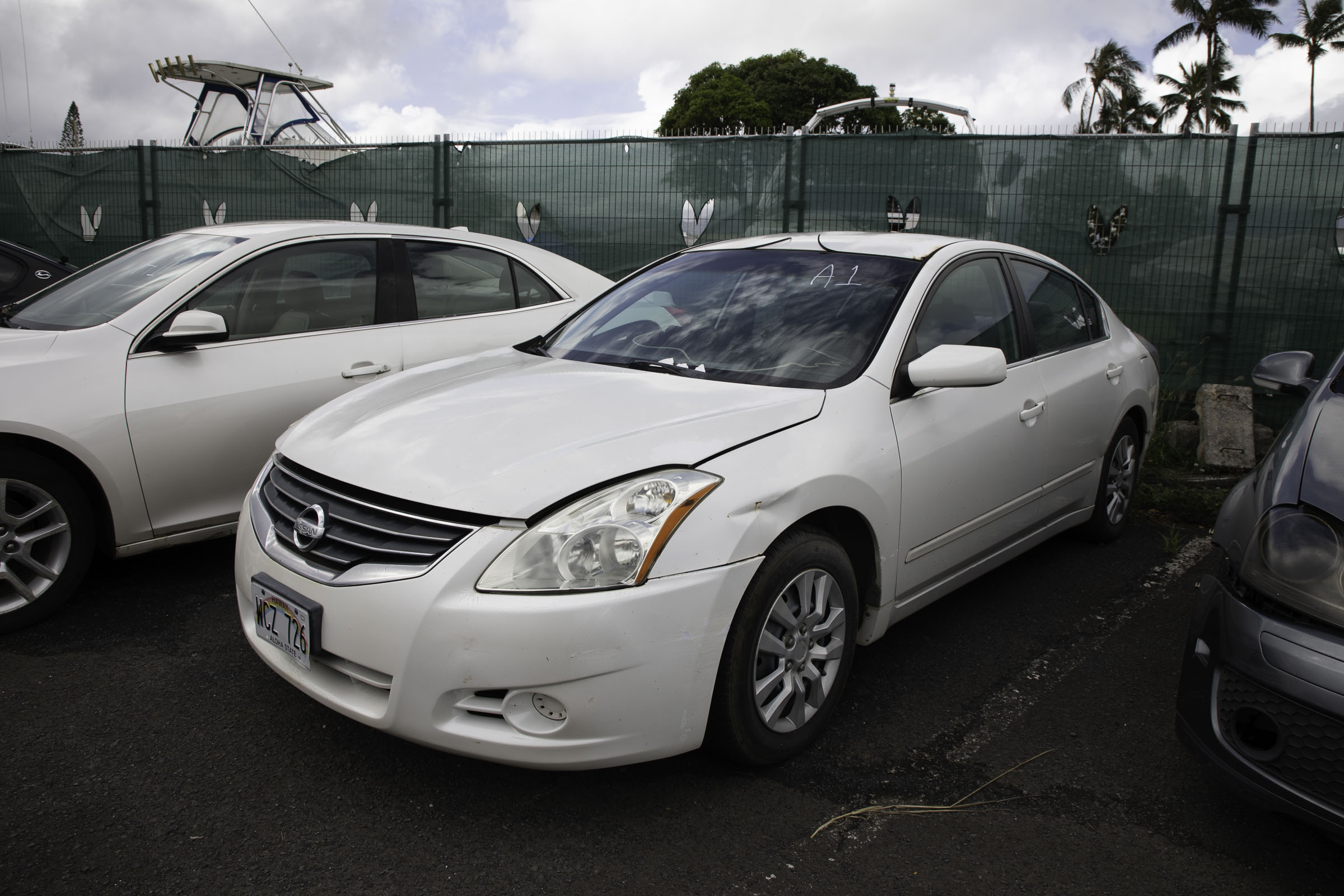 G97A8095.jpg