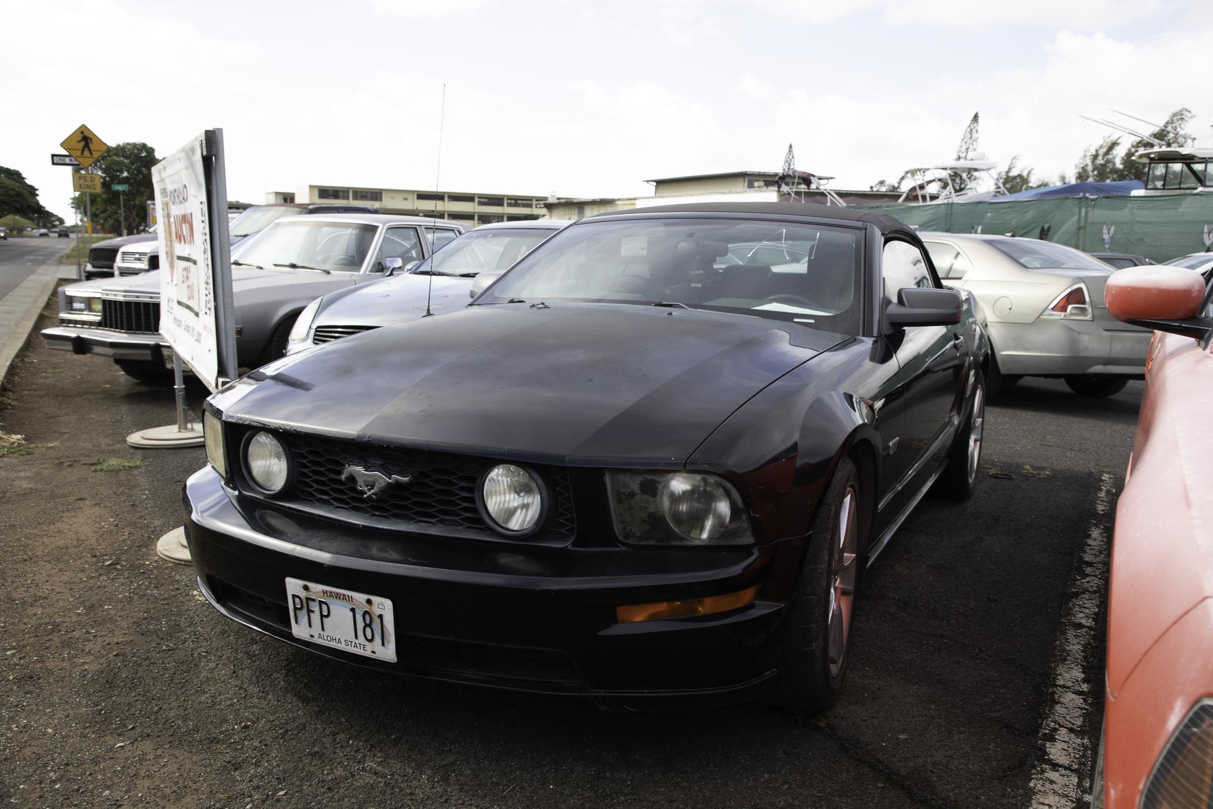 G97A0436.jpg