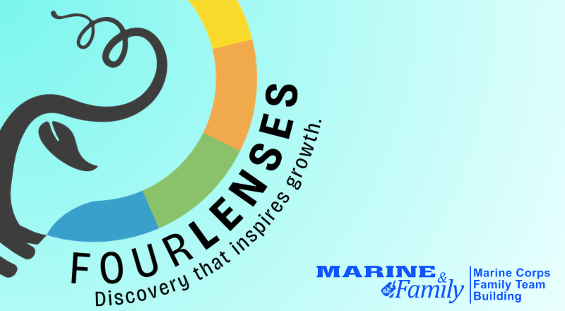4 Lenses: Understanding Personality Styles