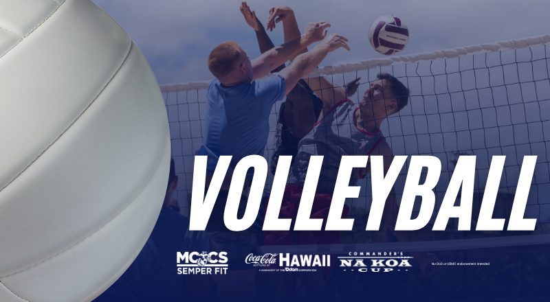 IM Volleyball