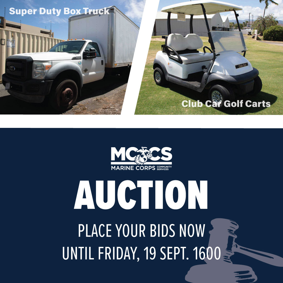 Auction_WebsiteMobile1080x1080.jpg