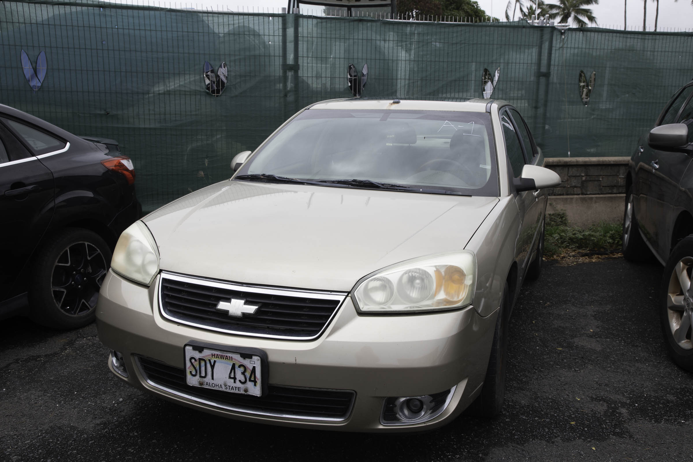 G97A2192.jpg