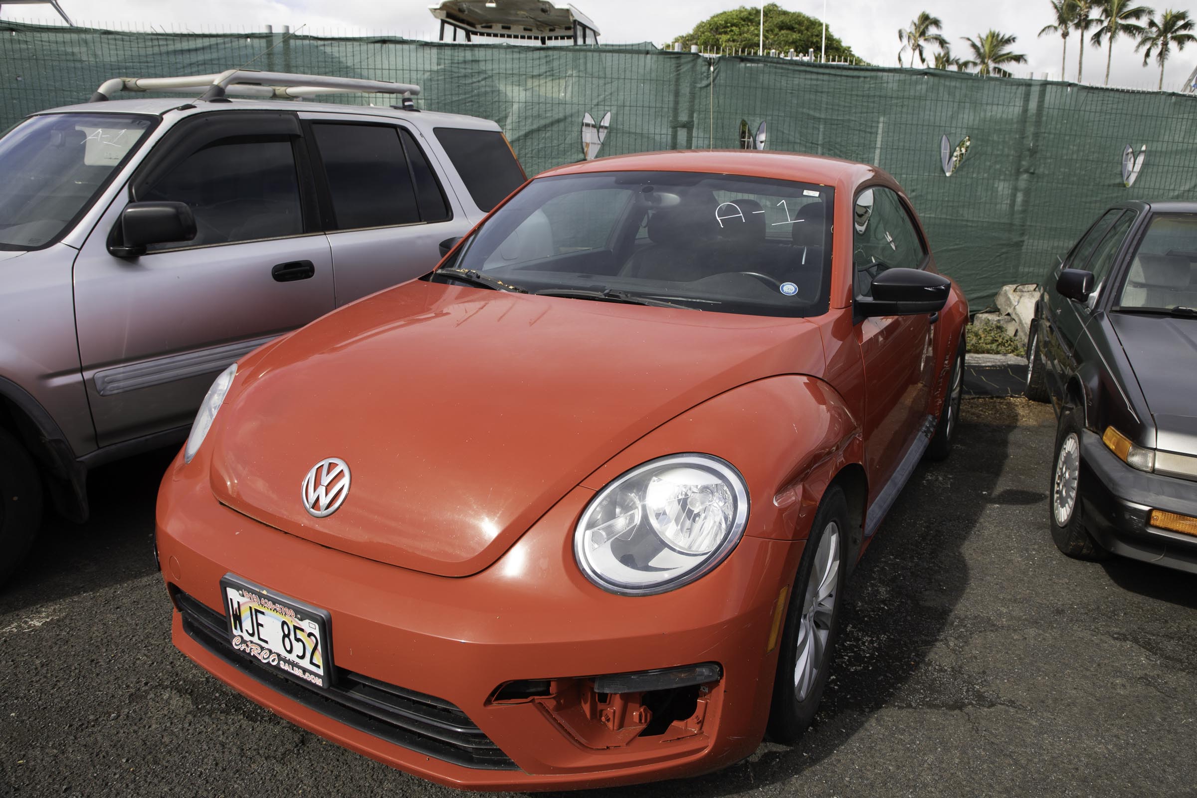 G97A0429.jpg