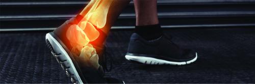 vehicle violation citation