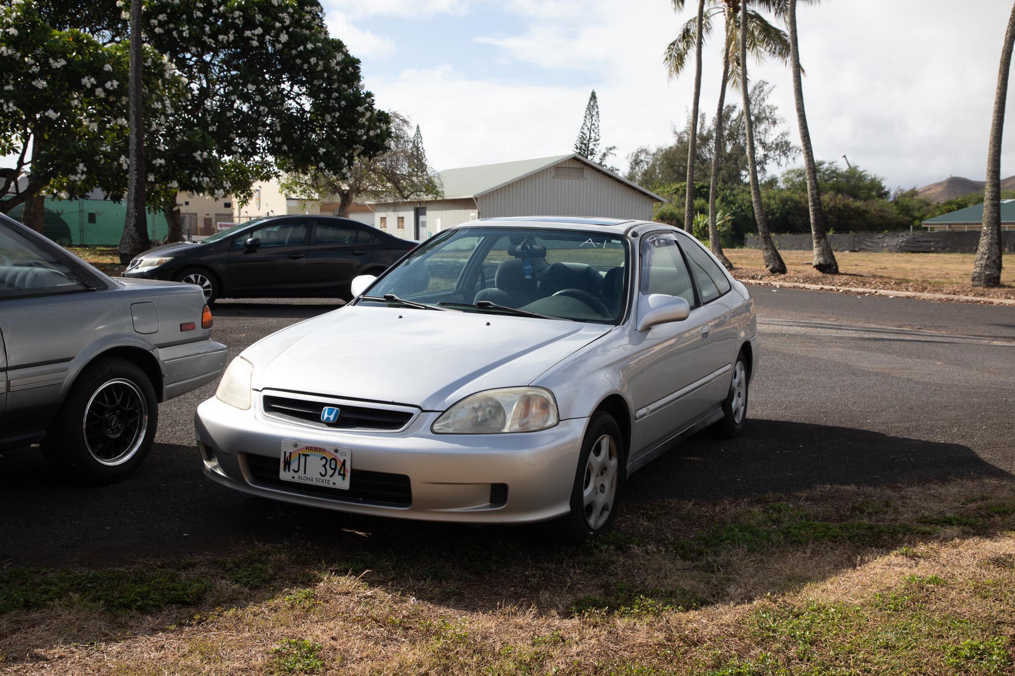 G95A1774.jpg
