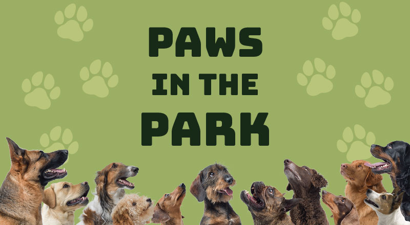 Paws at the Park