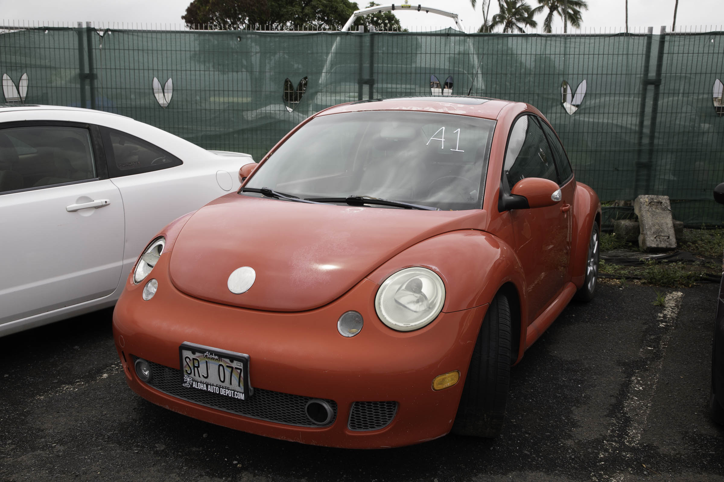 G97A2201.jpg