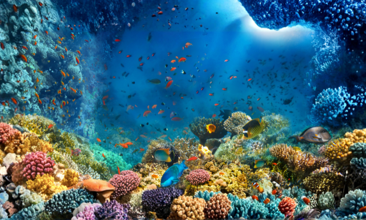 Youth Fitness (Ages 5-6)