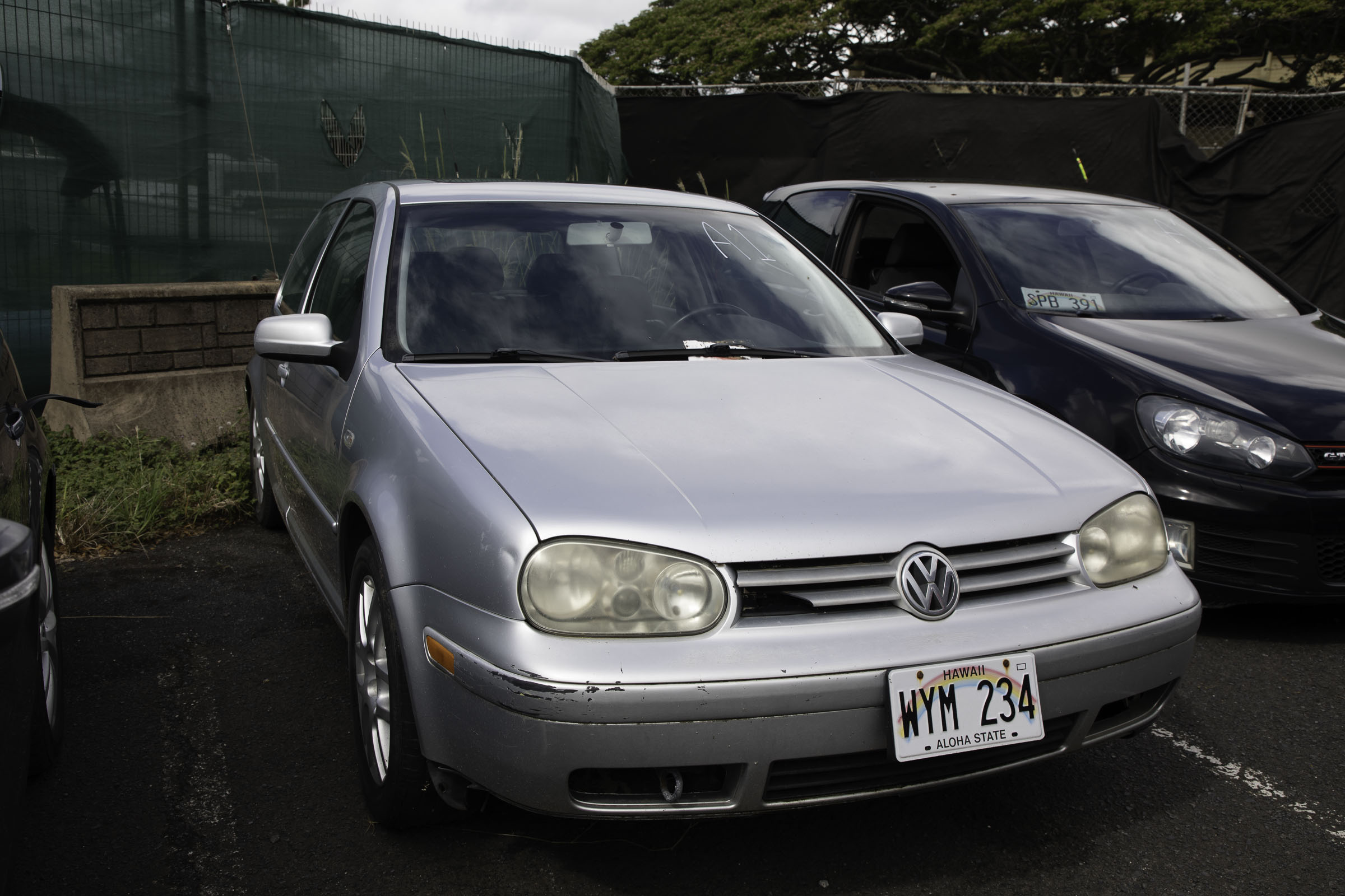 G97A8100.jpg