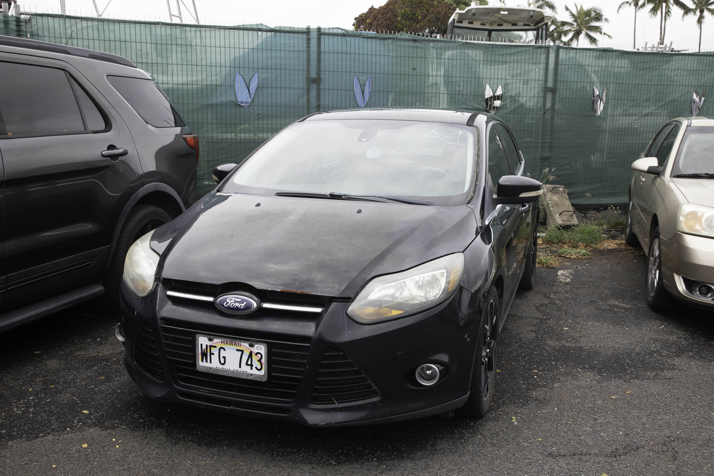 G97A2191.jpg