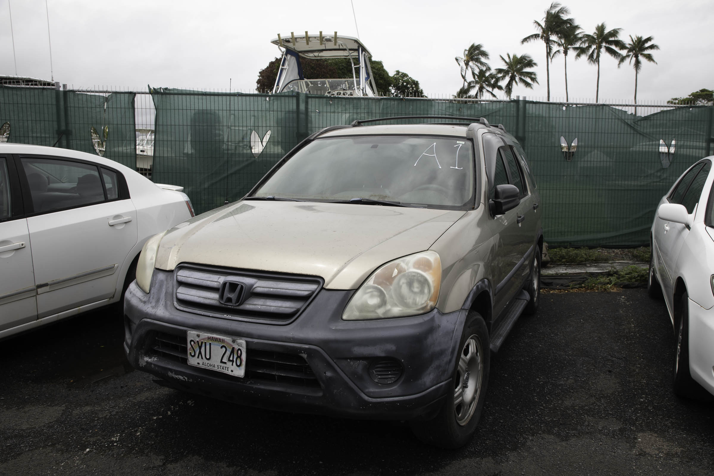 G97A2197.jpg
