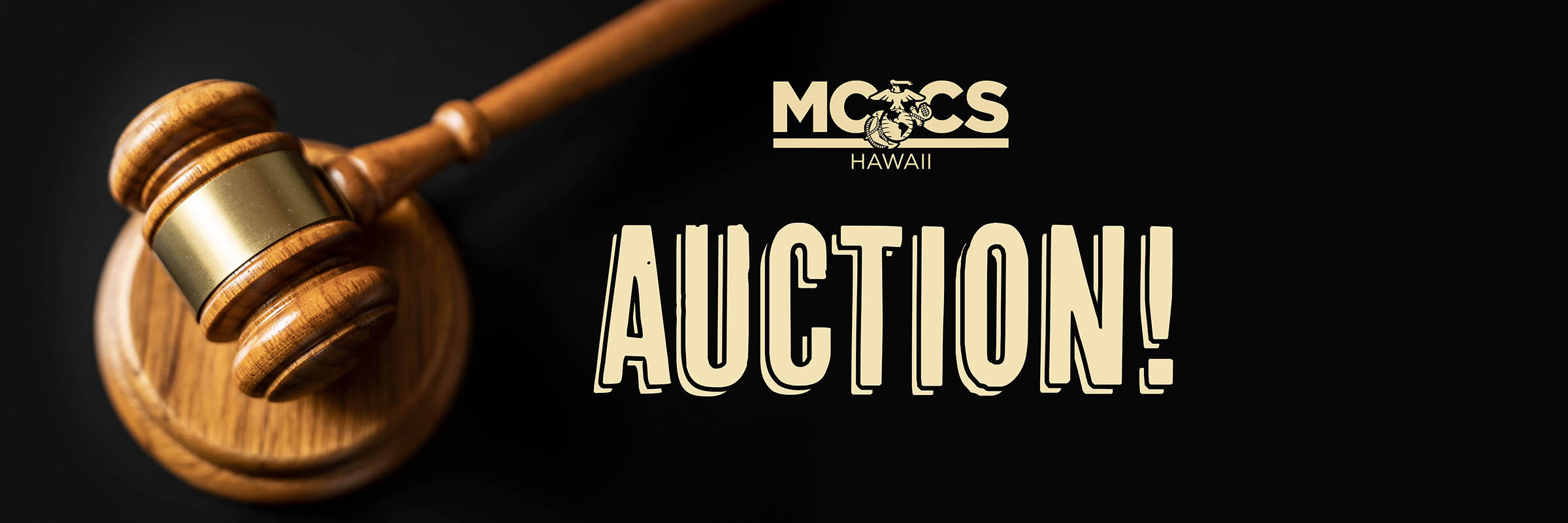 MCCS_Auction_webslider.jpg