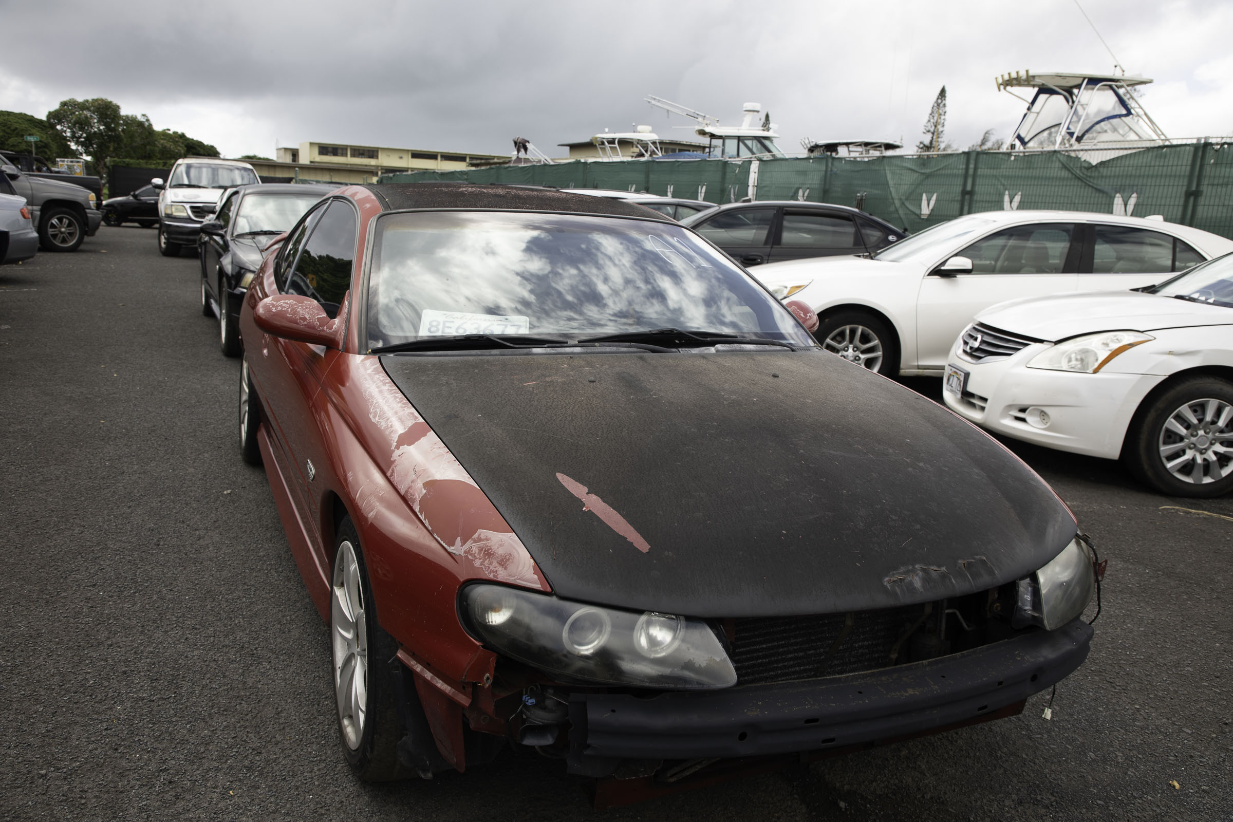 G97A8094.jpg