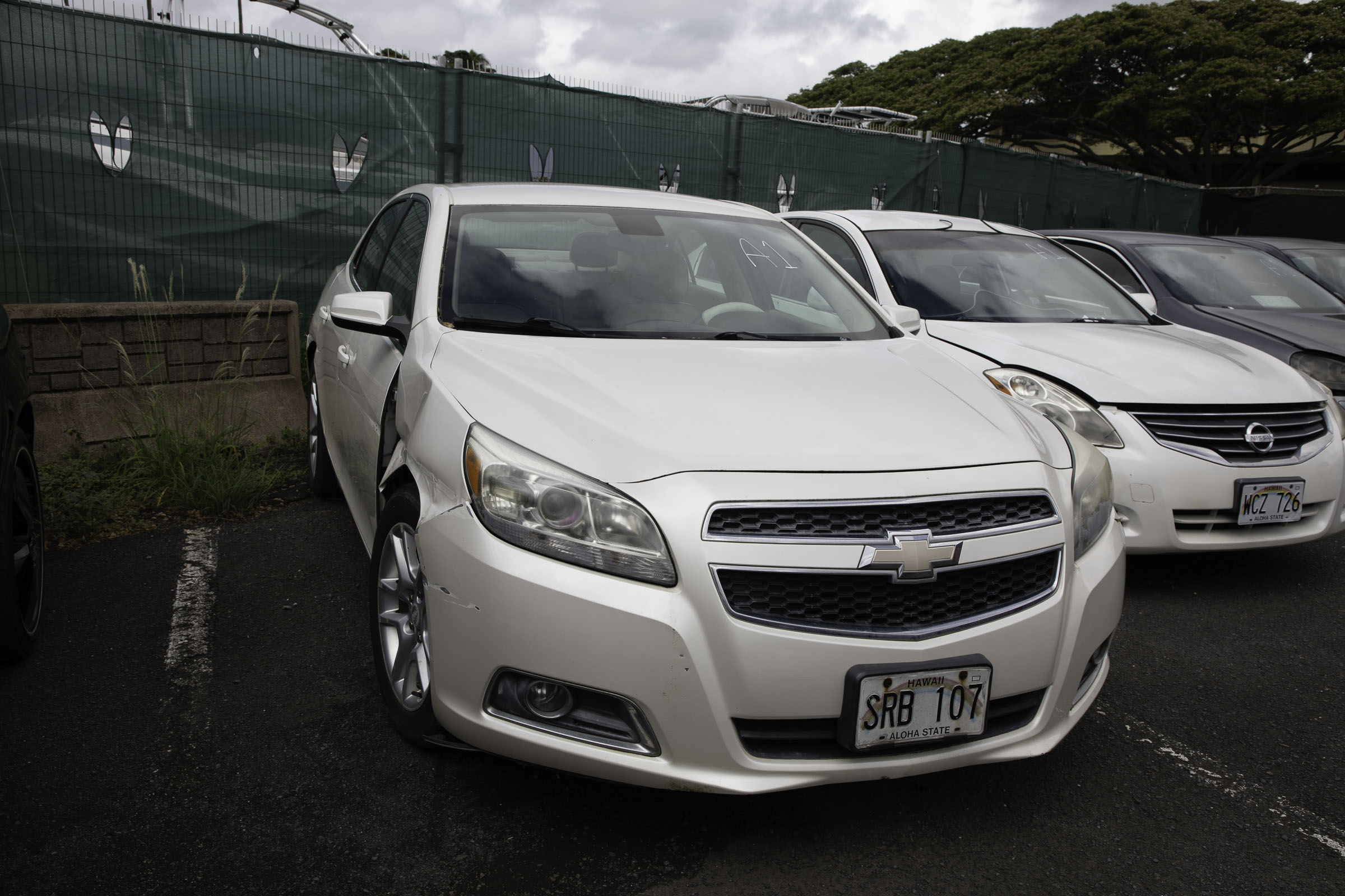 G97A8092.jpg