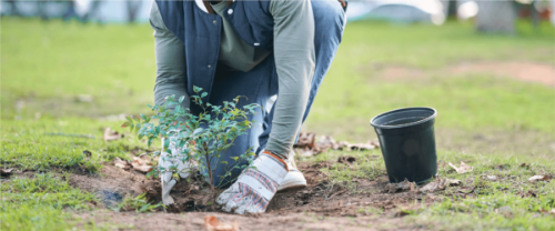 Buffer Stress Through Volunteering