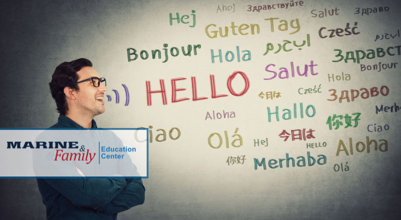 Defense Language Aptitude Battery (DLAB)/Defense Language Proficiency Test (DLPT)