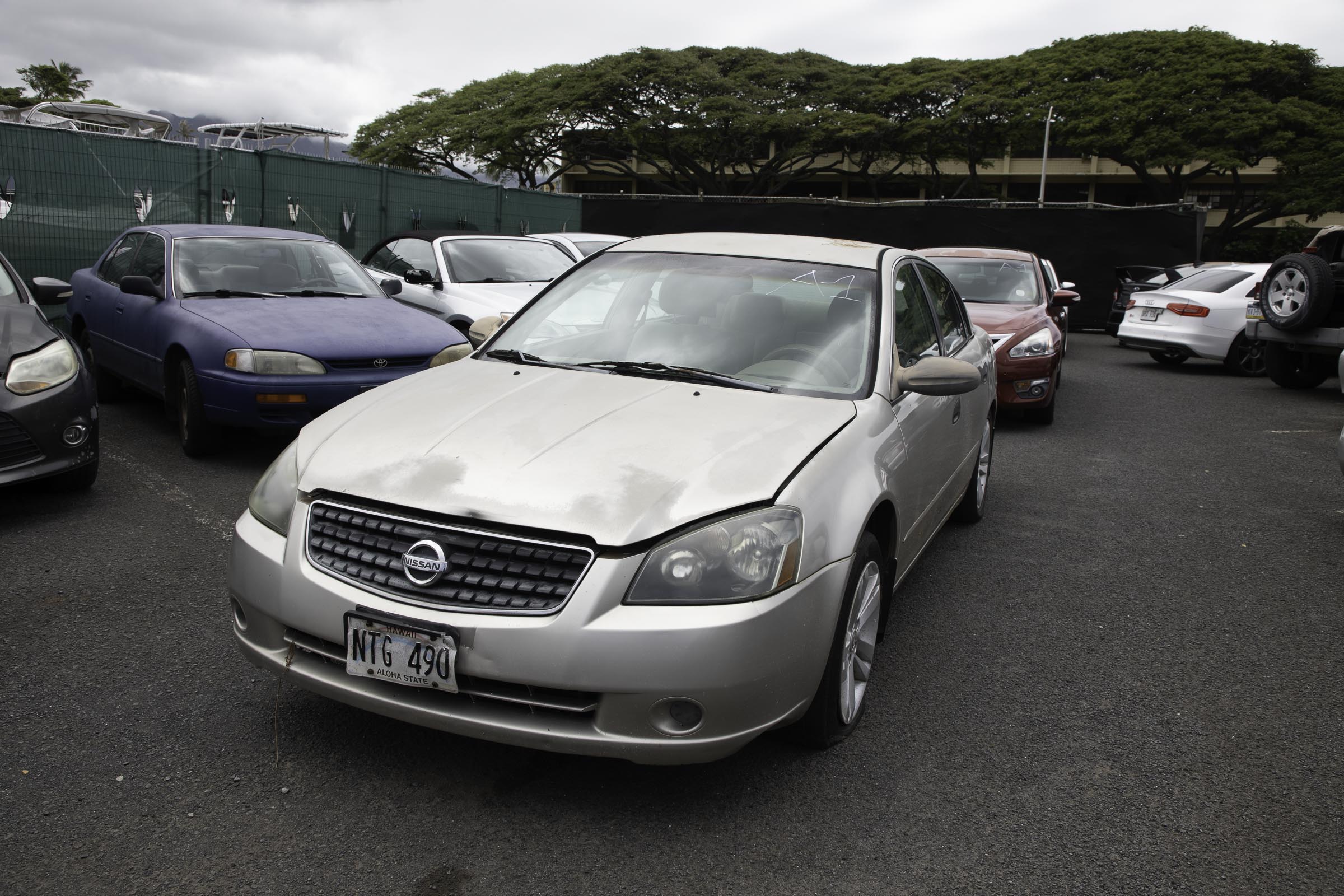 G97A1850.jpg